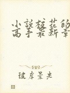 小说校花的贴身高手最新章节下载