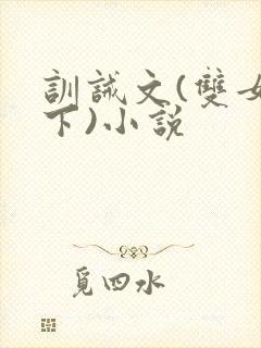 训诫文(双女年下)小说