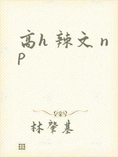高h 辣文 np