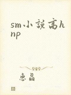 sm小说高h np封面