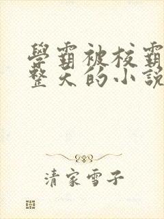 学霸被校霸罚一整天的小说