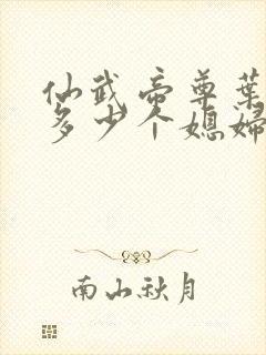 仙武帝尊叶辰有多少个媳妇