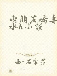 吃朋友娇妻的奶水h小说封面