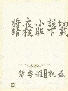 将夜小说txt精校版下载