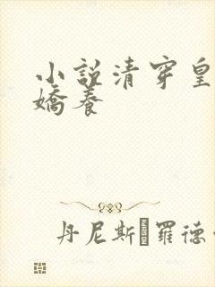 小说清穿皇妃要娇养