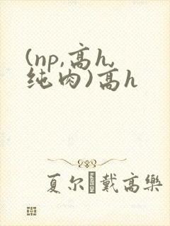 (np,高h,纯肉)高h