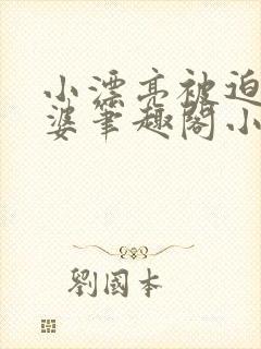 小漂亮被迫当老婆笔趣阁小说最新章