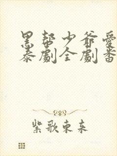 黑帮少爷爱上我泰剧全剧番外