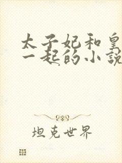 太子妃和皇上在一起的小说