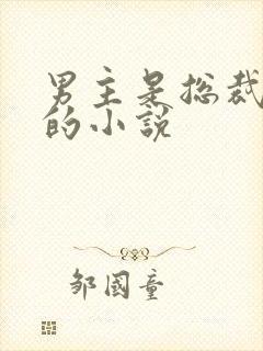 男主是总裁姓沈的小说