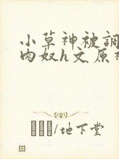 小草神被调教成肉奴h文原神