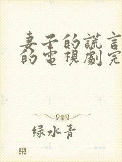 妻子的谎言免费的电视剧完整版高清