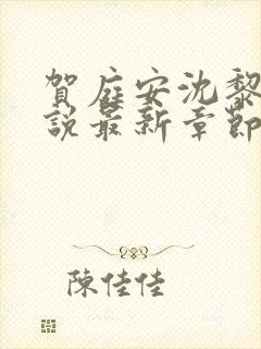 贺庭安沈黎初小说最新章节更新内容