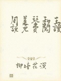 周美琴和王宇小说免费阅读封面