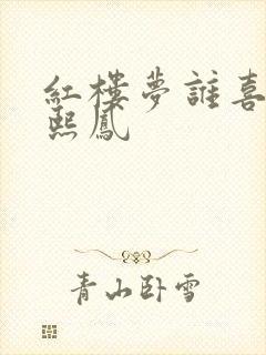 红楼梦谁喜欢王熙凤