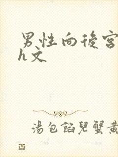 男性向后宫校园h文封面