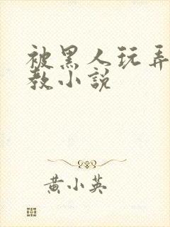 被黑人玩弄h调教小说