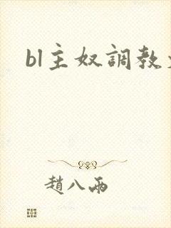 bl主奴调教文封面