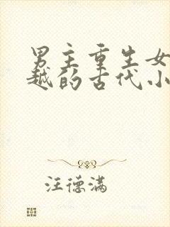 男主重生女主穿越的古代小说封面