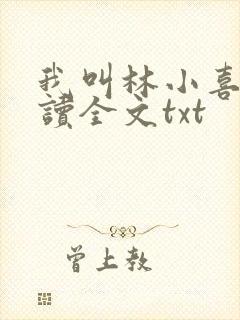 我叫林小喜全阅读全文txt