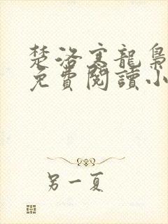 楚洛寒龙枭全文免费阅读小说封面