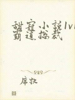 甜宠小说1v1霸道总裁