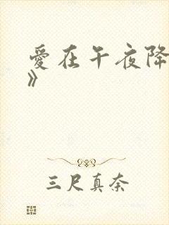 爱在午夜降临前》