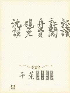 沈砚舟许轻宜小说免费阅读最新章节