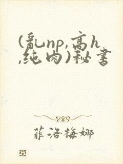 (乱np,高h,纯肉)秘书