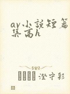 av小说短篇合集高h封面