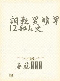 调教男明星1～12部h文
