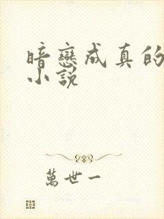 暗恋成真的言情小说封面