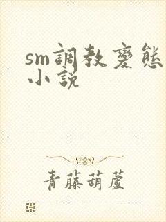 sm调教变态 小说