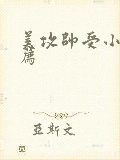 美攻帅受小说推荐