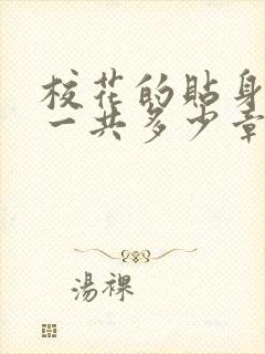 校花的贴身高手一共多少章节