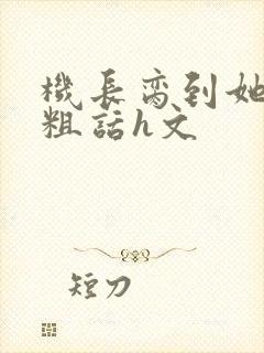 机长脔到她哭h粗话h文封面