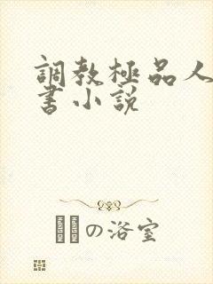 调教极品人妻秘书小说封面