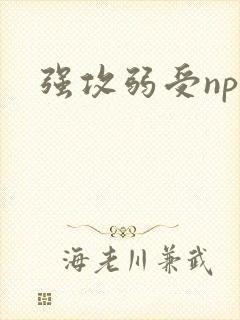 强攻弱受np文