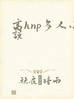 高hnp多人小说