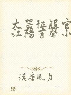 大器征服官场的江阳有声小说封面