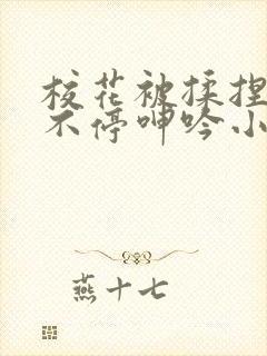 校花被揉捏两乳不停呻吟小说