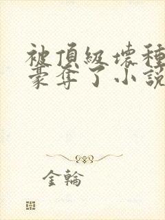 被顶级坏种强取豪夺了小说