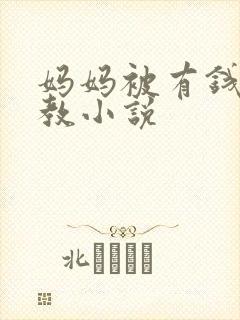 妈妈被有钱人调教小说封面