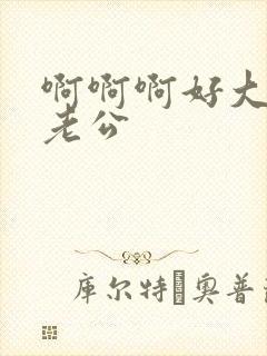 啊啊啊好大好爽老公封面