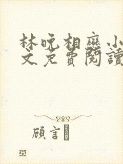 林晚相恋小说全文免费阅读