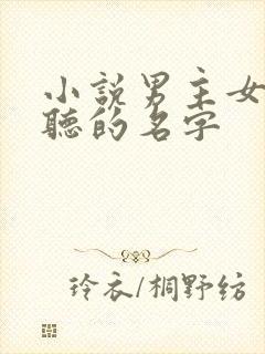 小说男主女主好听的名字