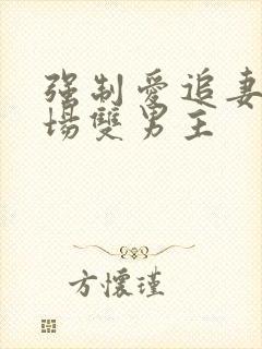 强制爱追妻火葬场双男主