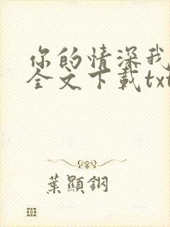 你的情深我不配全文下载txt下载