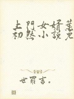 上门女婿叶辰萧初然小说免费读