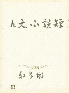 h文小说短篇